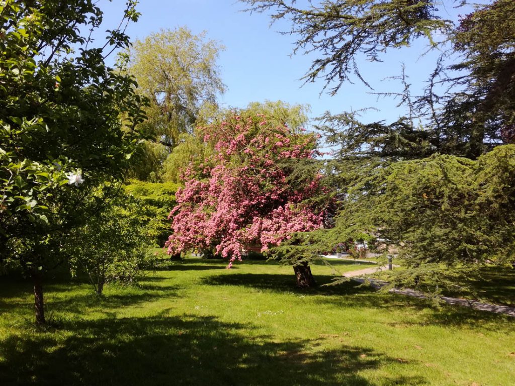 Garden of Chiseldon House, Swindon, Wiltshire